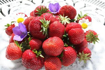 Image showing Swedish strawberries