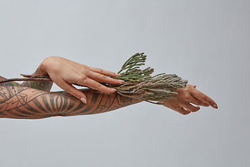 Image showing A girl with a tattoo on her hands holding a flowers on a gray.