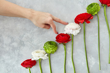 Image showing beautiful different flowers on a gray background