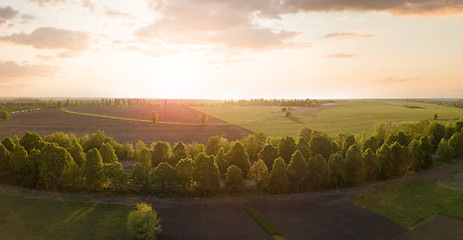 Image showing Aerial view from the drone, a bird\'s eye view of abstract geometric forms of agricultural fields with a dirt road through them in the summer evening at sunset.