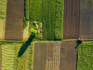 Image showing Aerial view from the drone, a bird\'s eye view of agricultural fields with a road through and a tractor on it in the spring evening at sunset