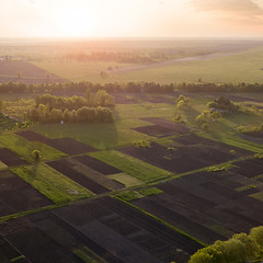 Image showing Aerial view of the field and trees at sunset. Photo from the drone