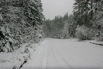 Image showing Beautiful winter landscape with snowy road in the winter forest.