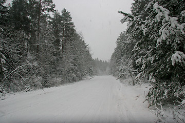 Image showing Beautiful winter landscape with snowy road in the winter forest.