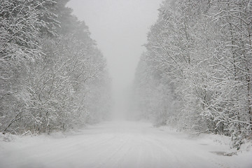 Image showing Beautiful winter landscape with snowy road in the winter forest.