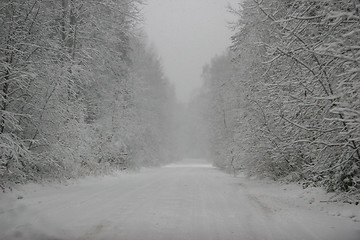 Image showing Beautiful winter landscape with snowy road in the winter forest.