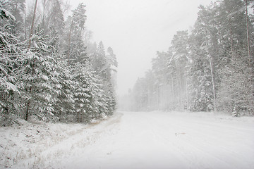 Image showing Beautiful winter landscape with snowy road in the winter forest.