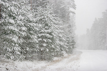 Image showing Beautiful winter landscape with snowy road in the winter forest.