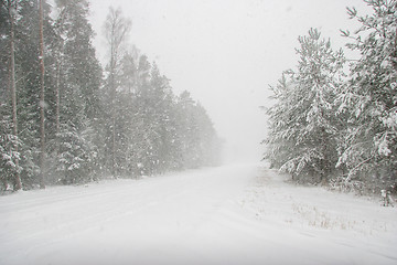 Image showing Beautiful winter landscape with snowy road in the winter forest.