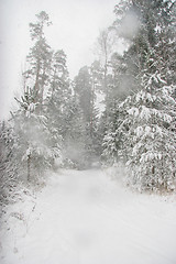 Image showing Beautiful winter landscape with snowy road in the winter forest.