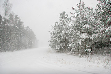 Image showing Beautiful winter landscape with snowy road in the winter forest.