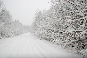 Image showing Beautiful winter landscape with snowy road in the winter forest.