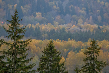 Image showing Autumn scene with colorful autumn trees.