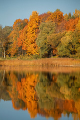 Image showing Autumn landscape with colorful trees and reflection in river. 