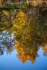 Image showing Autumn landscape with colorful trees and reflection in river. 