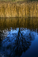 Image showing Autumn landscape with colorful trees and river. Reflection in ri