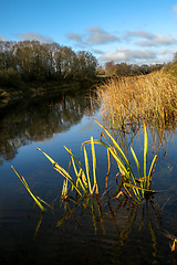 Image showing Autumn landscape with colorful trees and river. Reflection in ri