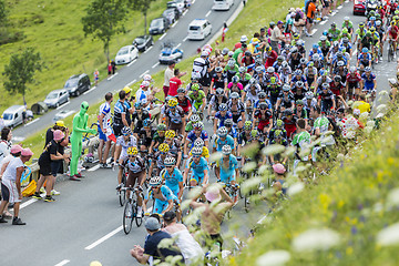 Image showing The Peloton on Col de Peyresourde - Tour de France 2014