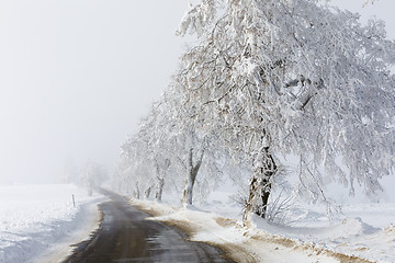 Image showing countryside rural winter road going in to the fog