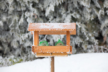 Image showing bird house or bird feeder in winter garden