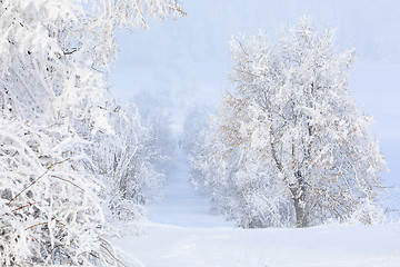 Image showing countryside rural winter road going in to the fog