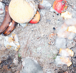 Image showing Decaying fruit in a dustbin