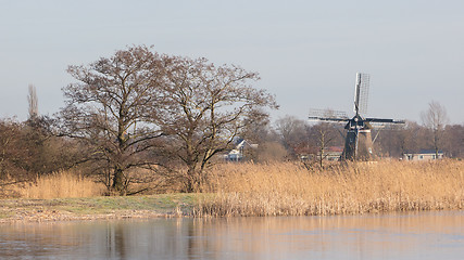 Image showing Tree and reeds at a lake