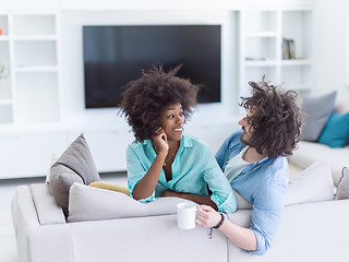 Image showing multiethnic couple sitting on sofa at home drinking coffe