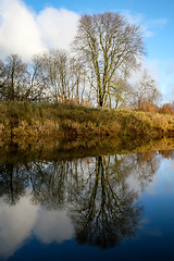 Image showing Autumn landscape with colorful trees and river. Reflection in ri