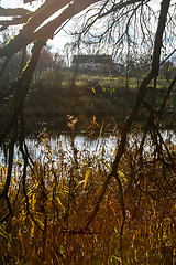 Image showing Autumn landscape with colorful trees and river. 