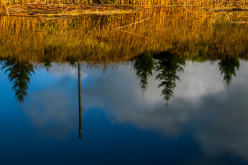 Image showing Autumn landscape with colorful trees, yellow grass and river. Re