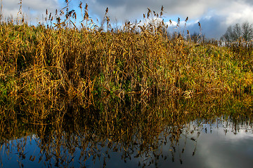 Image showing Autumn landscape with yellow grass and river. Reflection in rive