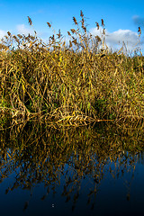 Image showing Autumn landscape with yellow grass and river. Reflection in rive