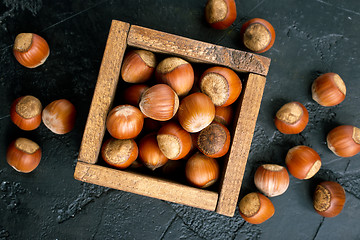 Image showing huzelnuts