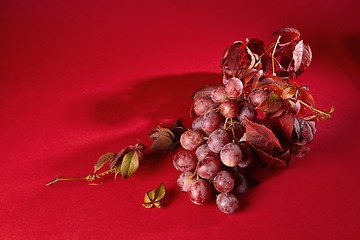 Image showing bunch of ripe red grapes
