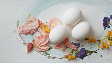 Image showing Eggs design over background