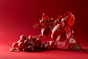 Image showing bunch of ripe red grapes