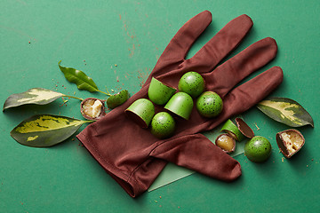 Image showing green chocolate candy with jelly