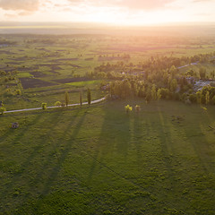 Image showing Aerial view from the drone, a bird\'s eye view of abstract geometric forms of agricultural fields with a dirt road through them in the summer evening at sunset.