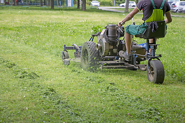 Image showing Worker mowing grass in a city park