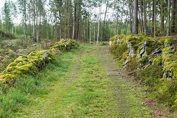 Image showing Moss covered stonewalls by a country road