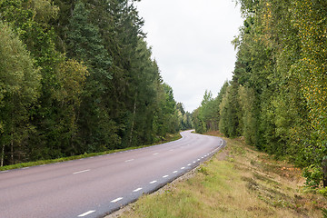 Image showing Winding asphalt road through a green forest