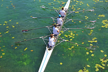 Image showing Men's quadruple rowing team on green water