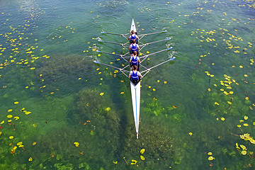 Image showing Men's quadruple rowing team on green water