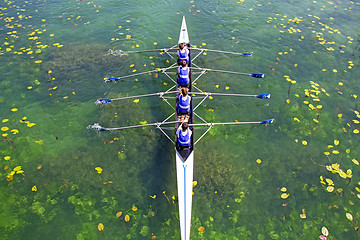 Image showing Men's quadruple rowing team on green water