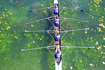 Image showing Men's quadruple rowing team on green water