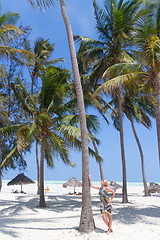 Image showing Perfect white sandy beach with palm trees, Paje, Zanzibar, Tanzania