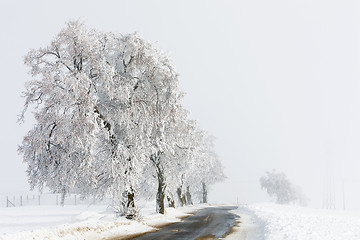 Image showing countryside rural winter road going in to the fog