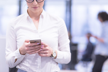 Image showing Elegant Woman Using Mobile Phone in startup office building