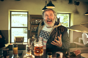 Image showing The senior bearded male drinking beer in pub